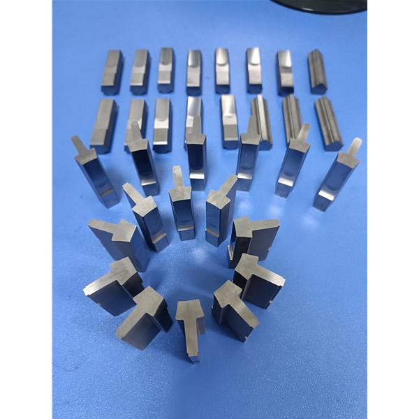 定轉子模具---鎢鋼沖頭